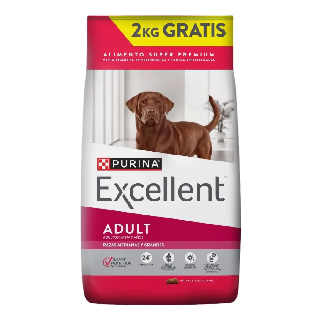 Alimentos Perros Adultos